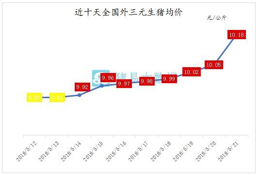 连涨8天！猪价能否一路上行？