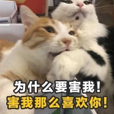 笑话:有次和朋友在KTV喝多了,回来以后发现钱包不见了
