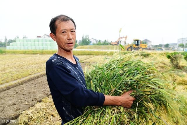 新年后农民每家每户都可能有的“八大难事”，看看你家有没有