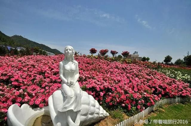 林业厅评出浙江100个最美赏花胜地，宁波只有这7个