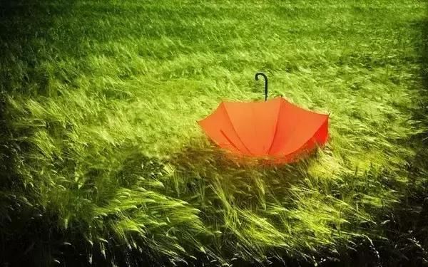 第一次想用高质量来形容这些短句子