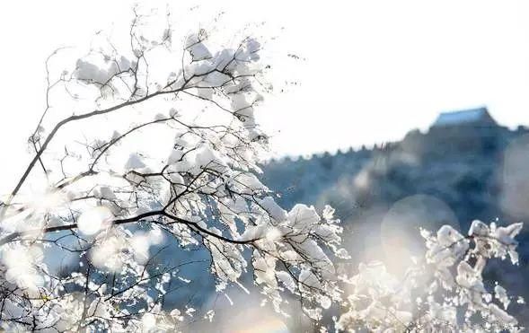 别去日本了！北京这趟6元小火车，带你穿越绝美樱花！沿途风景惊