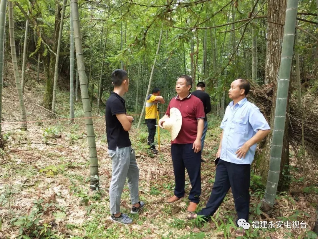 永安市三峡新能源永安贡川风电项目正式动工建