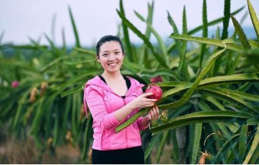 90后辍学种火龙果成“火龙女”，年赚200万