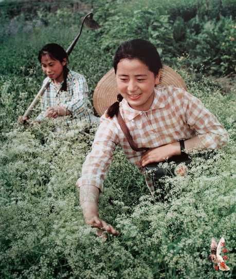 那个年代的宣传画集锦赤脚医生