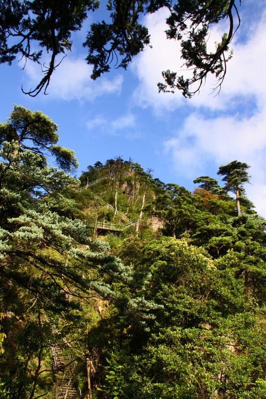 莽山国家森林公园风光