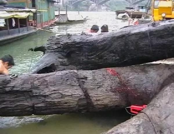 从古墓里挖出来的天价古董,真的能戴吗?