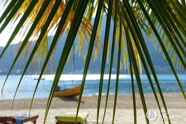 头脑一热，去马来西亚热浪岛了