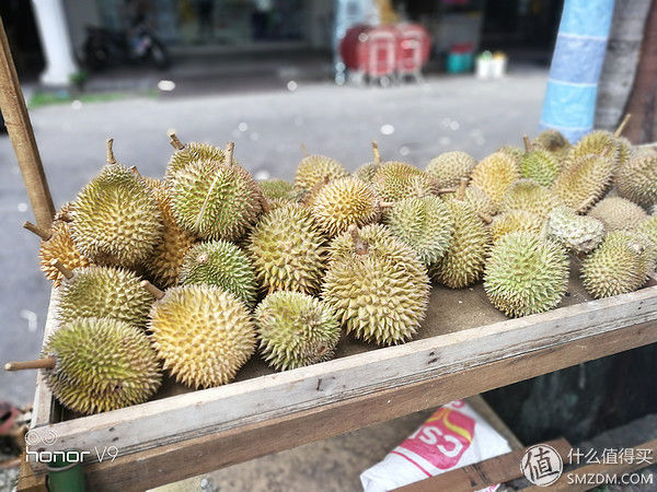 跟着土生土长的槟城人体验槟城-美食篇