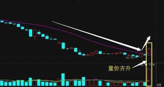 继贵州燃气,华森制药后,又一\"医药龙头\"脱颖而出,将乌鸡变