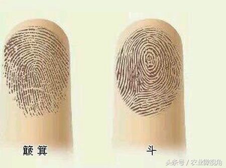 农村常说:一斗穷，二斗富，三斗四斗卖豆腐，什么意思?