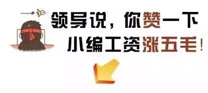 快看!甘肃农民发明的全木头自行车，骑上去好拉风……