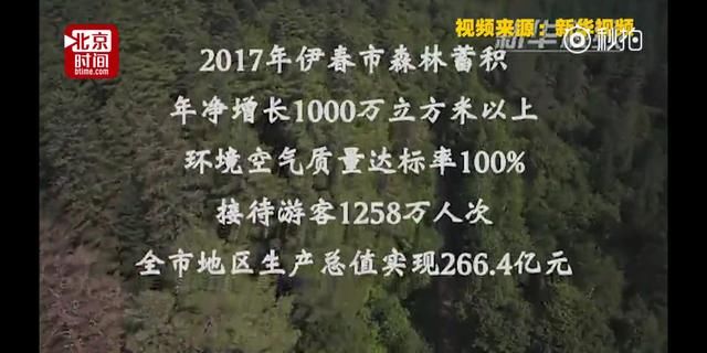 黑龙江老人坚持种树20年，种植上百万棵树，成就大森林