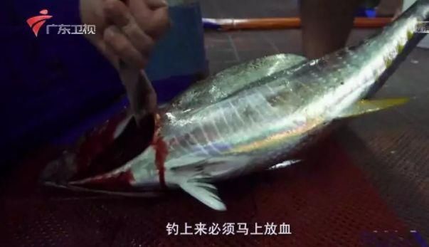 都别再骂《舌尖3》了，不如腾出时间看看这几部美食纪录片