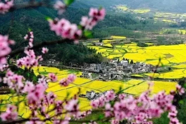 到了安徽只知道黄山就太可惜了，这个三月不可错过的人间天堂