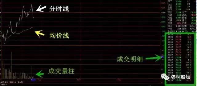 一位北京大学教授分享珍藏多年的分时图战法，写给所有在中国亏钱