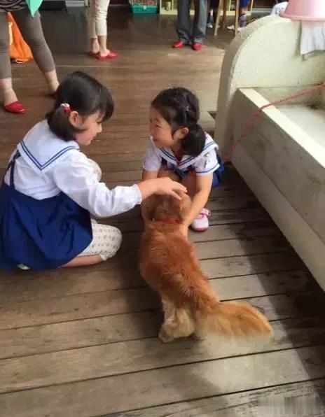 幼儿园为什么教幼儿