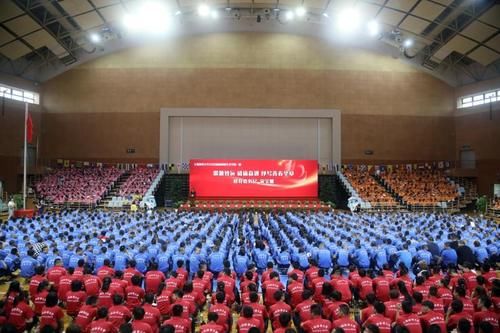 注册公司咨询电话