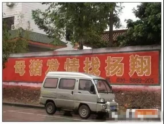 哪一句广告词让你记住了这个饲料品牌，大北农？新希望？双胞胎？