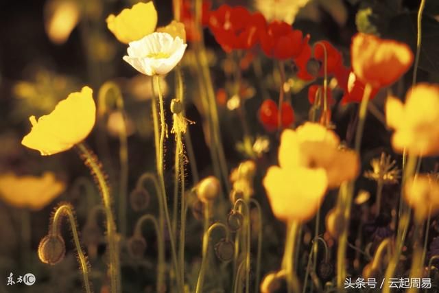 测命言论:喜用为一个命格的突破口,格局变化,命