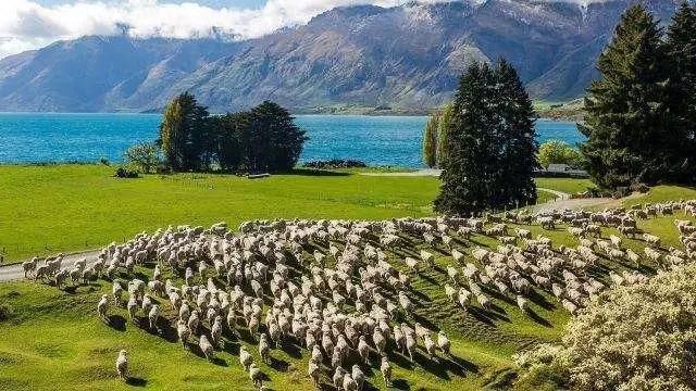 除了皇后镇，新西兰旅游还能玩什么?