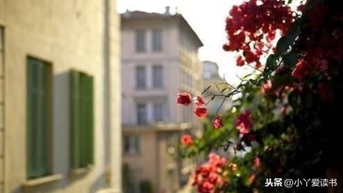 2019最新周末出去玩的心情说说 春暖花开外出