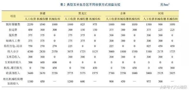 什么样的收获方式，玉米收益更高？