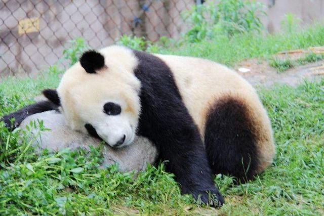 中国人口第四大城：人口超天津达1600万，未来还有自信追上北上广