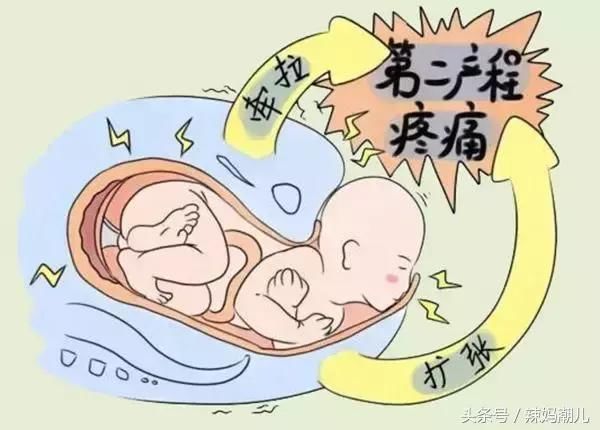 产妇分娩时,胎儿是这样从产道出生的!
