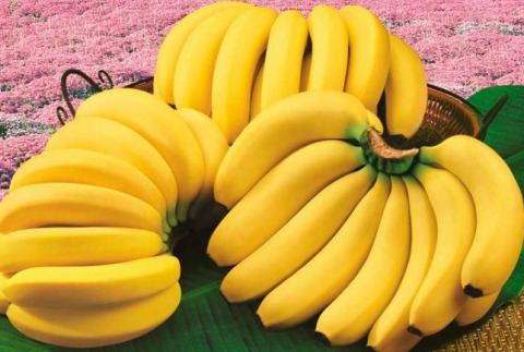 香蕉应该什么时候吃才最好 你知道吗