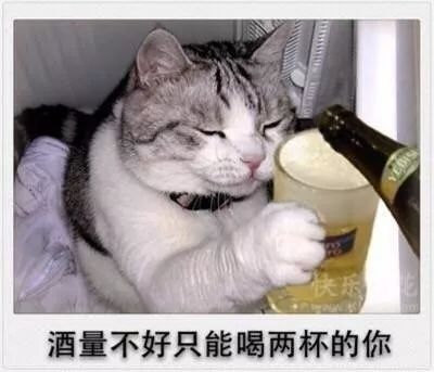 你的剩余假期被雨水承包了!还有一件扎心的事……