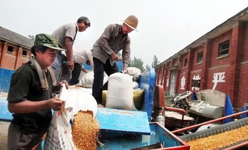 卖玉米的农民有福了：卖粮遭遇压级压价 可以来这里讨说法！