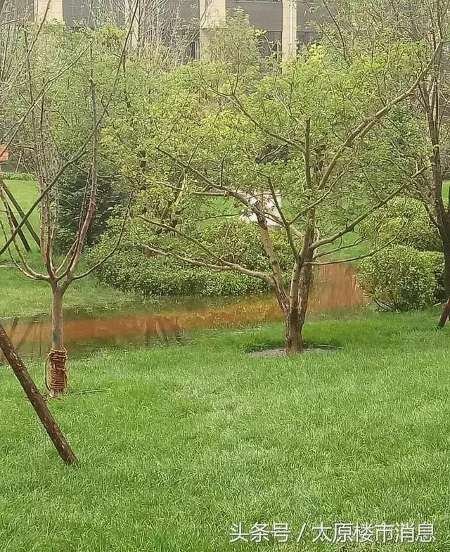 太原保利地产匆匆交房，业主们却欲哭无泪！下雨后工人用铁锹排水