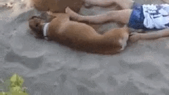 每日一笑:大哥不感觉慎得慌吗