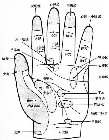 免疫力差，揉揉这里!改善体质的好方法，简单有效