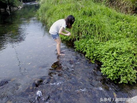 农村水沟边上才长的这种野菜，勾起了多少人的童年回忆，太好吃