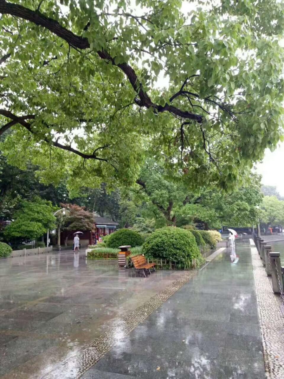 雨中西湖，乌镇夜景，美哉~【求精】