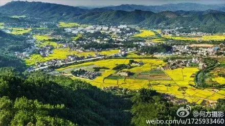 乡村会荐 | 避开人潮！踏青必去的古镇古村，诗意岭南近在咫尺！