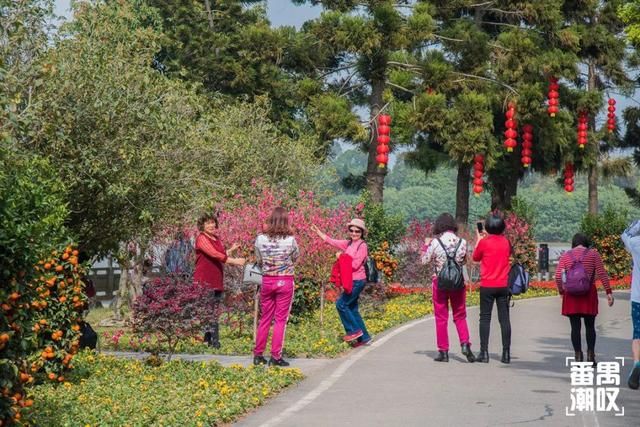 大夫山21年后大变样！400亩园林花海，广州开上高速都要来踏春！