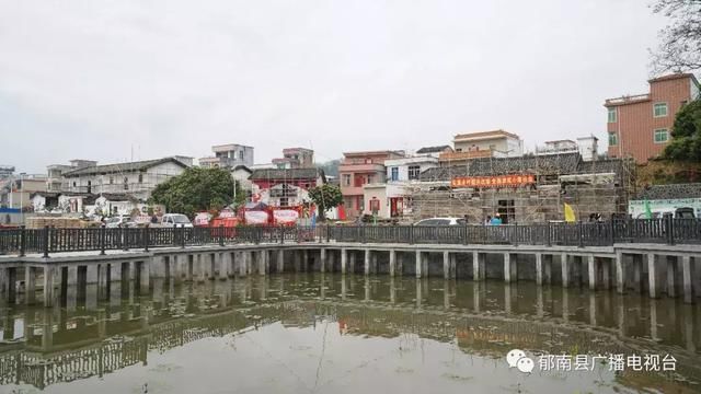 千年樟树、烈士故居，云浮这个村庄将打造生态休闲旅游观光圣地