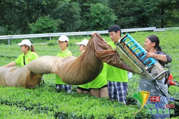 重庆大学生走进恩施土苗山寨 感受别样人文风