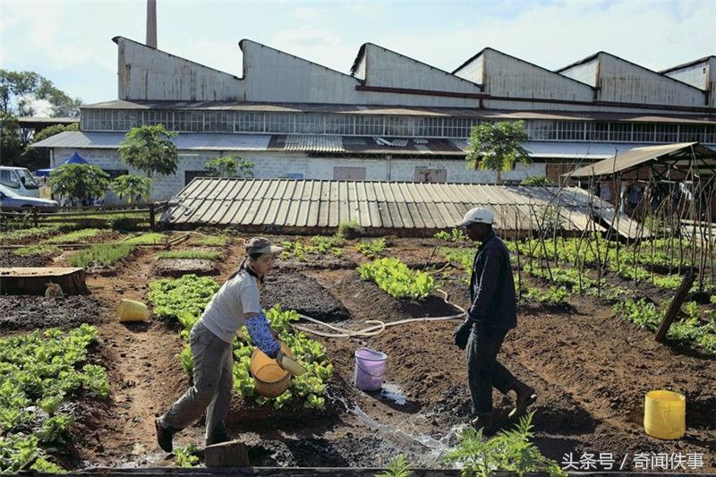 在非洲打拼的中国人,开饭店、麻将铺、KTV、