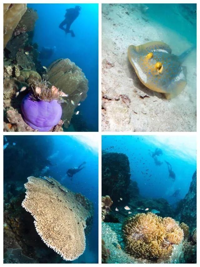 烟花三月下春蓬，泰国南部小城探秘