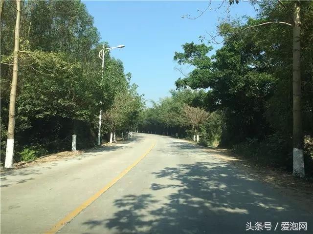 江门市这几条最美乡村公路，到江门自驾旅游必去