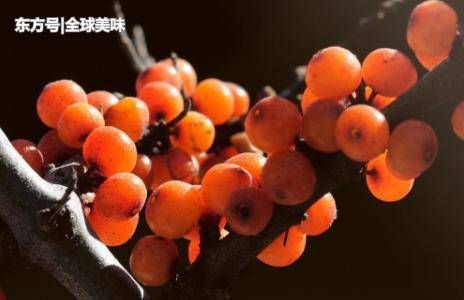 看看这俩种家乡味道,你吃过哪个?_【今日爆点