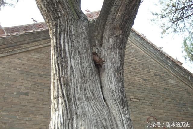 日军炮轰中国神庙,却没有爆炸,进去一看集体下