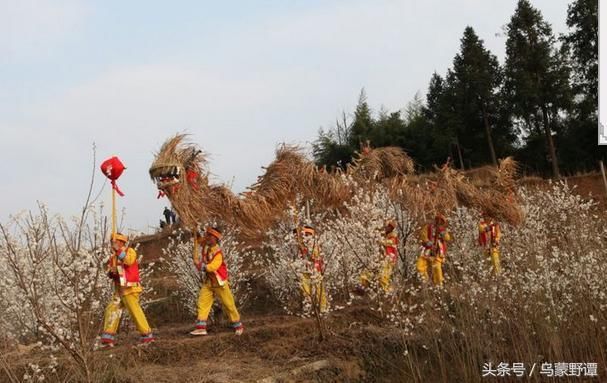 贵州纳雍白族舞起的这条龙证明明朝建文帝确实藏身于贵州