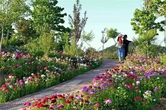 吴丹世界游记 这座山名气不大，但是却藏着罕见的美丽景色