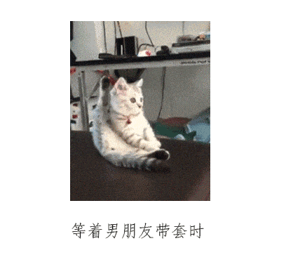 gif搞笑趣图:这样很凉快啊,哈哈