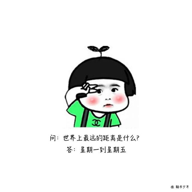 搞笑又吸引人的壁纸,搞笑又吸引人的壁纸图片